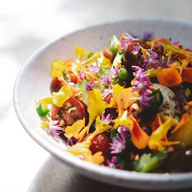 TivoliBlomsterfestivalCatKoppel9sep47630x410px